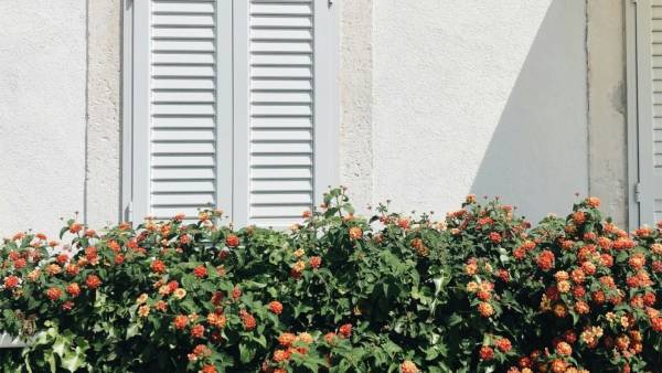 Orebic - Adriatic Gem in Croatia - Galleries (4 / 5)